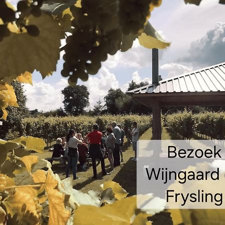 Familychalet De Schaapskooi, 6-Persons, Big Private Garden, Dogs Aloud Westergeest Экстерьер фото